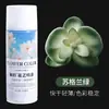 450ml Tinta Spray para Flores Corante Bouquet Cor Spray Arte Floral Materiais para Floricultura Spray Azul Gelo Triturado Colorido Agente Spray