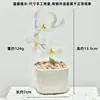 Adornos de Escritorio Hechos a Mano de Flor de Jacinto Suculento Esmaltado Decoración de Maceta de Planta Artificial de Vidrio Micro Paisaje Creativo
