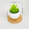 Venda Quente Transfronteiriça Suculentas Falsas Mini Plantas em Vasos de Plástico Suculentas de Simulação Presentes Plantas de Comércio Exterior Pequenos Enfeites para Casa