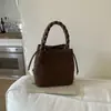 Bolsas de Nicho de Gama Alta para Mujer 2025 Nuevo Invierno Versátil Bolso de Mano Bolso Cubo Retro Bolso de Hombro Cruzado para Viajes