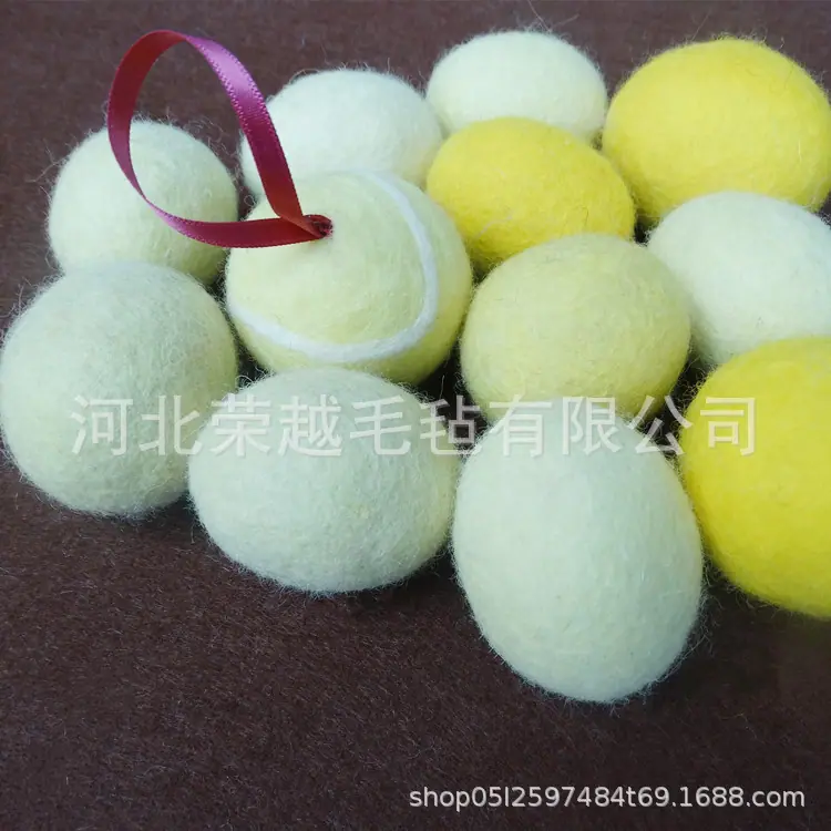 DSC06811_副本.jpg