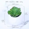 Mini simulação carnudo vaso criativo DIY interior pequenos ornamentos simulação de plástico fabricantes de flores fornecimento ES1155-1