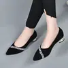 Zapatos de tacón bajo para mujer con punta fina, tacón grueso y pedrería, de corte bajo, nuevos de otoño 2026, elegantes, color negro esmerilado, para el trabajo