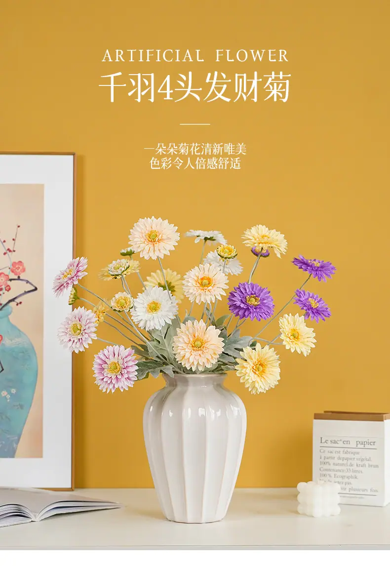 千羽4头发财菊_01.jpg
