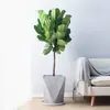 Figueira-lira em Vaso para Interior, Planta de Folhas Grandes para Sala de Estar e Escritório, Fácil de Cuidar, Flor Nórdica que Absorve Formaldeído em Todas as Estações