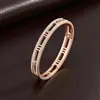 Pulseras de Acero de Titanio para Niñas, Joyería con Números Romanos, Pulseras de Acero Inoxidable de Lujo Ligero de Nicho que Se Pueden Mojar, No se Desvanecen y Versátiles