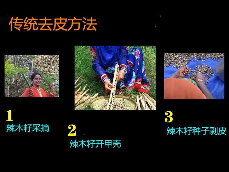 ce0615e0dd5266c7f81a618519dce2
