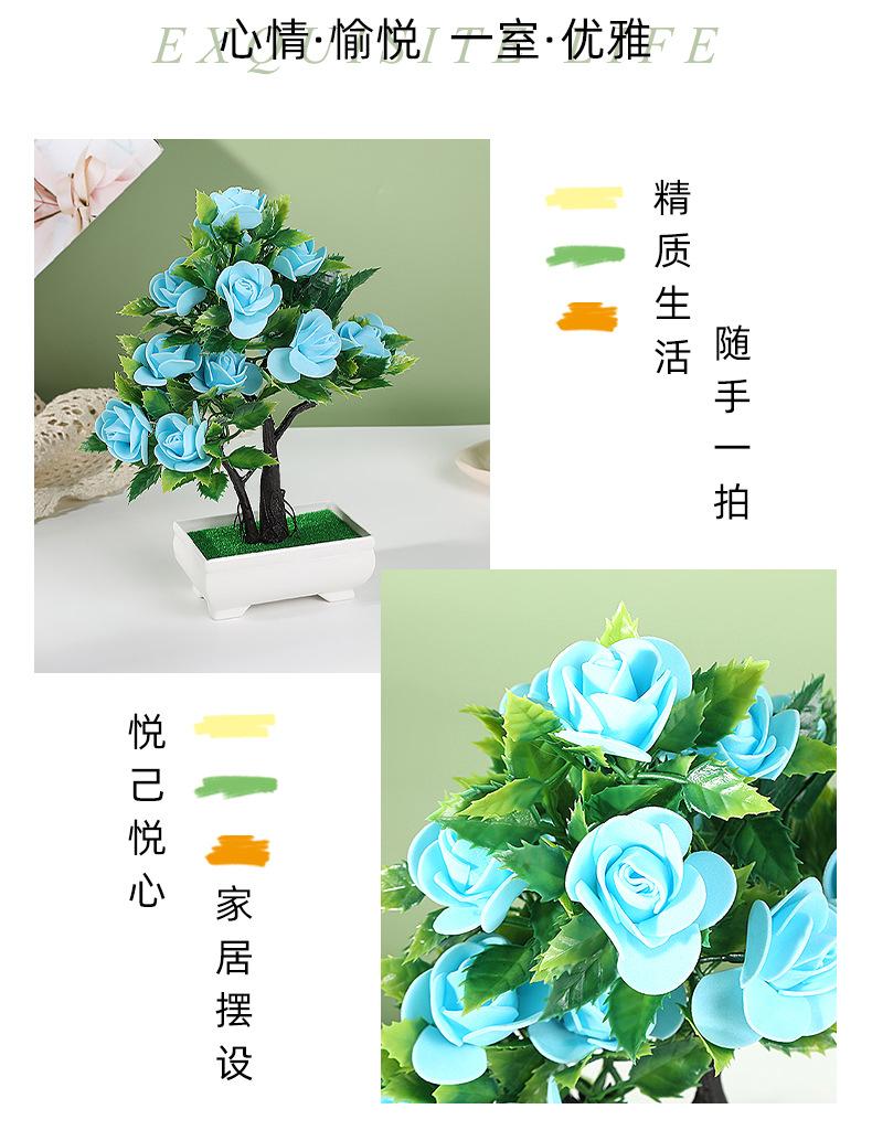 保侬详情_02.jpg