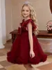 Nuevo Vestido de Malla para Niños, Vestido de Princesa Esponjoso, Vestido Infantil Mediano y Grande, Ropa para Niñas de un Año, Suministro Exclusivo Transfronterizo