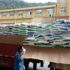 Suministro al contado de ácido cítrico grado alimenticio contenido 99% agente agrio agente limpiador detergente ácido cítrico monohidratado comestible