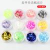 DIY12 colores brillo lentejuelas arte de uñas diamante polvo de concha caviar pentagrama material para slime