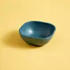 Plástico PP Cuadrado Pequeño Plato para Condimentos y Dips Empanadillas Papas Fritas Plato para Salsa de Aceite y Vinagre Plato Japonés para Aperitivos y Snacks Plato para Frutos Secos