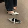 Zapatos de Mujer de Tacón Grueso Cerrados sin Cordones Estilo Nuevo Primavera y Otoño 2026 Punta Fina Mary Jane Plateados
