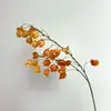 Nova Lanterna Artificial Fruta Flor Falsa Enfeites de Chão para Casa Sala de Estar Lanterna Decorativa para Casamento Decoração de Corredor Flor Fotografia
