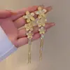 Pendientes de Borlas de Diamantes Florales Rayados Transfronterizos Diseño Exagerado Pendientes Personalizados Moda de Nicho Pendientes con Temperamento para Mujer