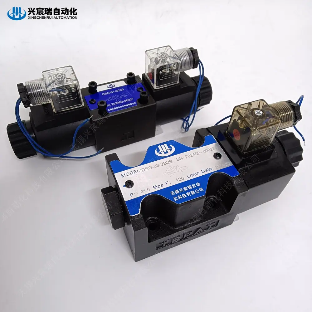 DSG-01 -03 (1).jpg