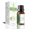 Directo de fábrica transfronterizo aceite esencial de aromaterapia soluble en agua difusor de interior máquina de aromaterapia líquido suplementario de aromaterapia sin fuego
