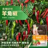 Shandong Shouguang enciclopedia de semillas de hortalizas mayorista fuente de semillas de melón y frutas fabricantes soporte para las cuatro estaciones primavera y verano envío directo