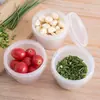 Caixa Redonda para Cebolinha Fresca Caixa de Armazenamento de Drenagem de Camada Dupla para Geladeira com Tampa Caixa Selada para Alho, Gengibre e Frutas Secas para Cozinha