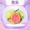 Guayaba de pulpa roja de Zhangzhou, Fujian, disponible para entrega en cantidades de 1/3/5/ 4.5 kg por pieza, mixta de pulpa blanca y roja en piezas de 1/3/5/ 4.5 kg, fruta fresca