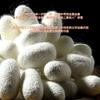 Fornecido Diretamente pelo Fabricante, Joelheiras de Compressão Finas de Seda Gelada para o Verão, Alta Elasticidade, Não Apertado, Antiderrapante, Quente, Invisível, Estilo Japonês