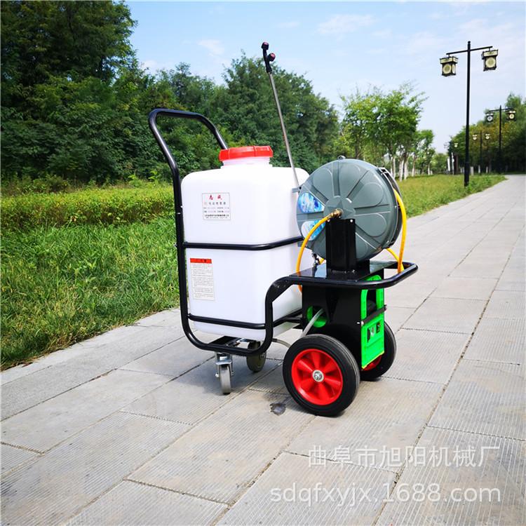 60L (23).jpg