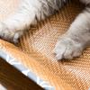 Cama para Mascotas de Ratán Alfombrilla Refrigerante de Doble Cara para Gatos Almohadilla Refrigerante Jaula para Gatos Cama para Perros de Lona Cama para Gatos Resistente a los Arañazos Transpirable Sensación Fresca