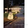 Árbol de Piedra Translúcida, Árbol Luminoso, Panel Translúcido, Piedra Volcánica, Bambú, Hoguera, Hotel, Cafetería, Decoración, Ingeniería de Paisajes
