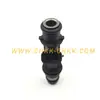 Aplicável a Chevrolet Jingcheng Buick Delphi picape bico injetor de combustível de 2 furos 96334808 25332290