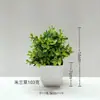 Venda Quente Transfronteiriça Planta de Simulação Planta Falsa Planta em Vaso Planta Verde Decoração Interna e Externa Eucalipto em Vaso de Plástico Planta Pequena em Vaso
