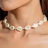 Collar Colgante de Concha y Estrella de Mar Estilo Vacaciones Transfronterizas Europeas y Americanas Simple Moda Versátil Personalizado