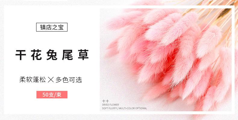 详情海报
