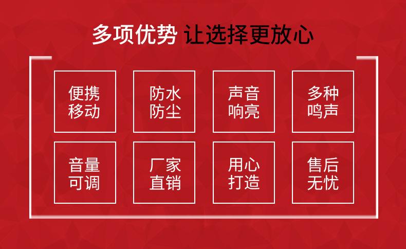 详情_02.jpg