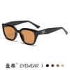 Óculos de Sol Gm 2024 Novos para Mulheres Estilo K Tendência High-End Celebridade da Internet Óculos Estilosos de Rua Óculos de Sol Gatinho Retrô
