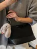Bolsa Grande para Dumplings para Mulheres 2025 Inverno Nova Simples de Ombro Transversal Bolsa Quadrada Pequena para Alunos Aula Trabalho