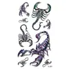 Pequeños Fabricantes de Calcomanías de Tatuajes Frescos Venta al por Mayor en Stock Personalidad Creativa Coreana Impermeable Suministro Transfronterizo