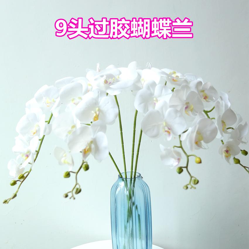 001-0_副本