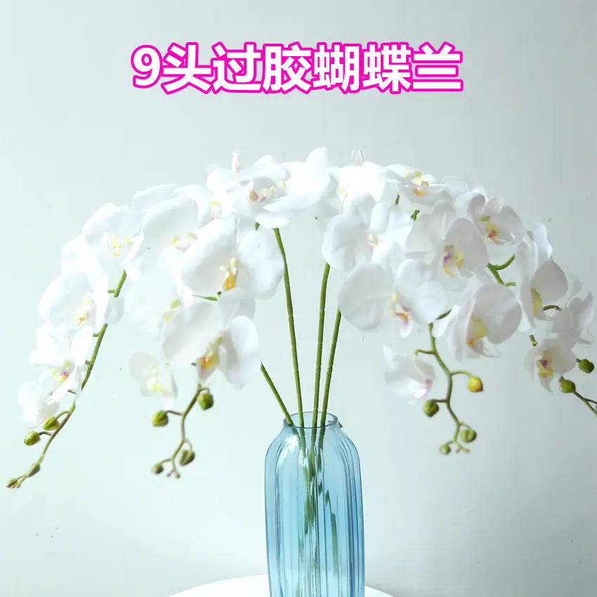 001-0_副本