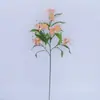 Flores Artificiales al por Mayor, Narcisos y Lirios de Corte Fresco, Flores Reales, Flores Decorativas para Floristerías, Lirios Pequeños