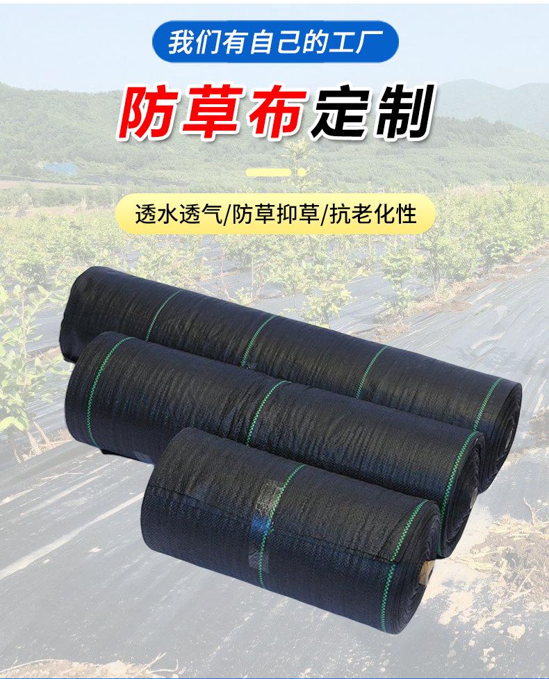 详情_04.jpg