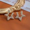 Pendientes de botón de estrella de diamante brillante Aguja de plata de ley S925 Lujo ligero Moda Alto sentido de gama Temperamento Zirconia Microincrustada Pendientes de aguja de plata