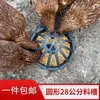 Alimentador automático para patos y gansos para cría de pollos bebedero comedero para patos comedero de polipropileno grueso comedero para aves de corral bebedero