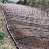 Las Especificaciones de la Cinta de Microaspersión Agrícola se Personalizan para el Riego de Tierras de Cultivo y Huertos, Equipo de Riego con Cinta de Aspersión, Cinta de Microaspersión Porosa