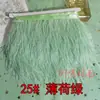 Borlas Decorativas de Pena DIY, Acabamento de Pena de Avestruz, Bainha de Vestido/Saia de Palco, Acessórios de Roupa, Renda, Tiras de Pena