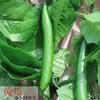 Decoração de Cachos de Uva Roxa e Verde Simulação Uvas Plásticas Falsas Folhas Verdes Videiras de Uva Videiras de Frutas Enfeites Plantas Teto