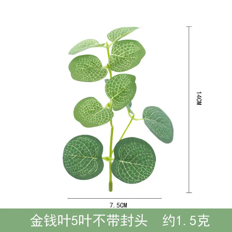 金钱叶5叶不带封头.jpg?x-oss-process=image/format,png
