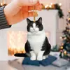 Decoración Colgante para el Hogar Colgante para Coche Colgante de Gato con Forma de Mochila Producto Nuevo Más Vendido Gato Decoración Transfronteriza para Coche