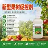 Nuevo regulador de crecimiento para árboles frutales: controla el crecimiento de los brotes, promueve la floración, mejora el desarrollo de los frutos, mejora el color de los frutos, protege las flores y los frutos, y actúa como fertilizante foliar para controlar el crecimiento excesivo