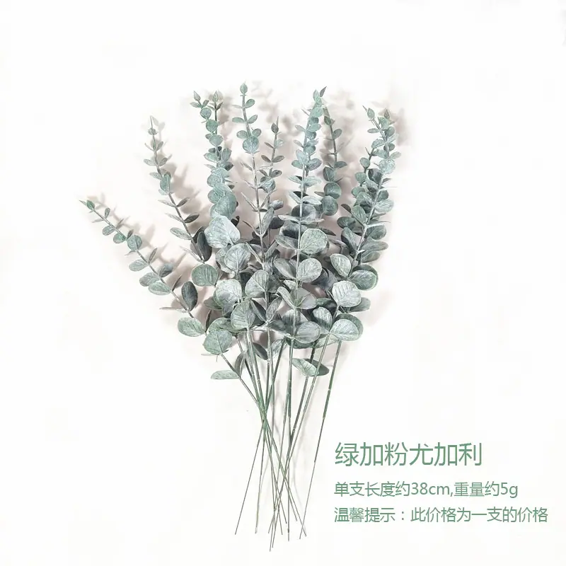 绿加粉尤加利