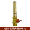 Cabezal de fuente burbujeante con boquilla Yongquan de cobre para paisaje acuático, estanque de peces, ciclo de rociado seco, fuente para exteriores, juego completo